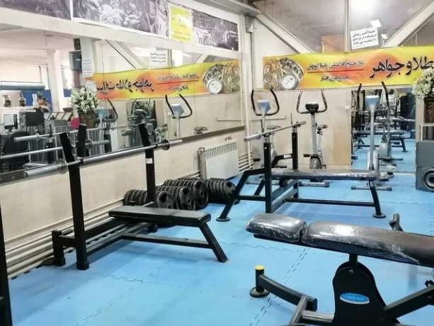 تصویر باشگاه ورزشی پارسی