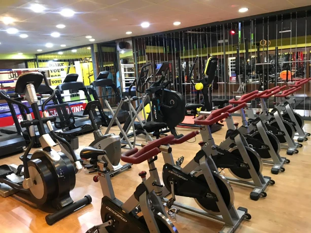 تصویر باشگاه کینگ اسپرت (King sport)