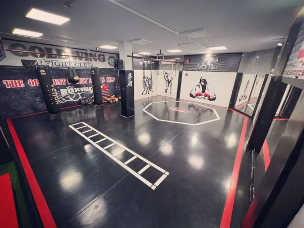 تصویر باشگاه بال طلایی (Golden Wing Gym)