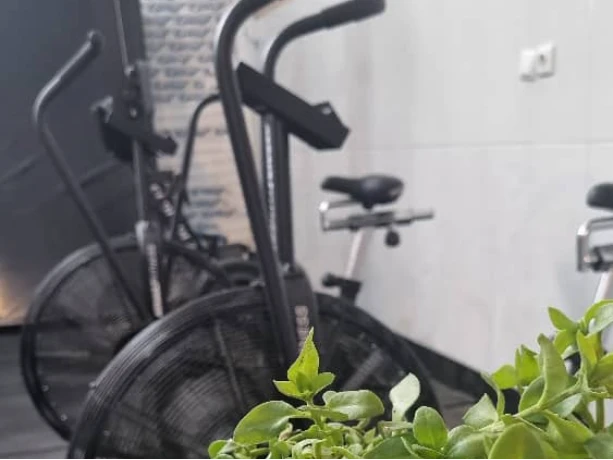 تصویر باشگاه آلفا در یزد (Alpha Gym)