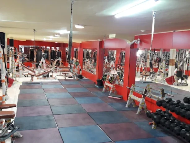 تصویر باشگاه جیم پرشین (Gym persian)