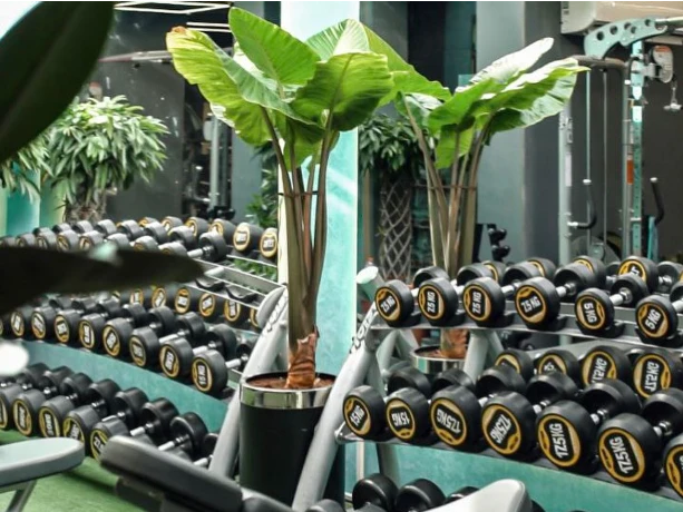 تصویر باشگاه فیزیک پرو (physique pro)