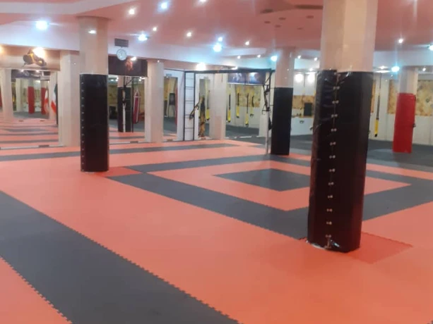 تصویر باشگاه آسا ورزش
