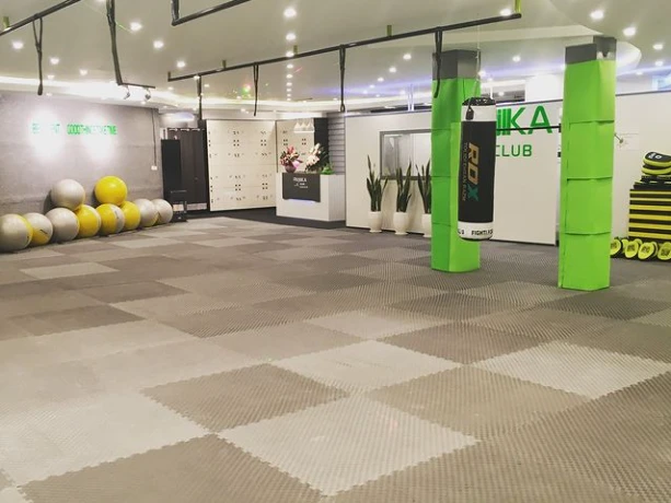 تصویر باشگاه ورزشی پانیکا