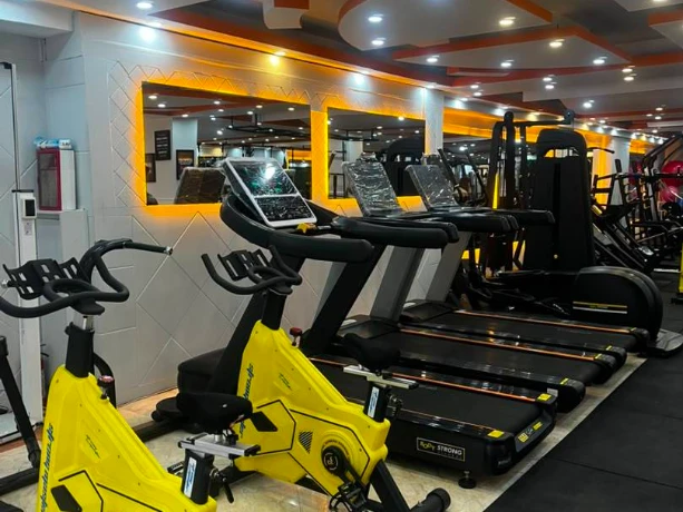 تصویر ماسل پلاس (Muscle Plus) شعبه بانوان