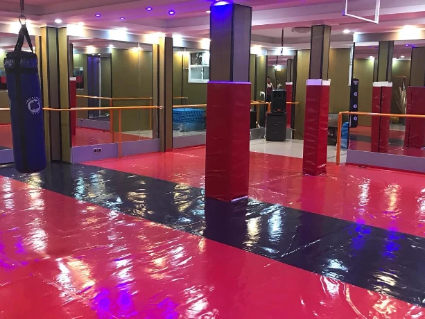تصویر مجموعه ورزشی دیباجی