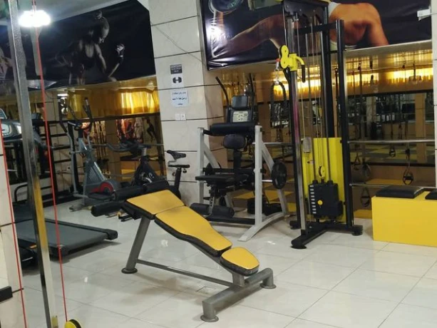 تصویر باشگاه بامیکا (Bamika Gym)