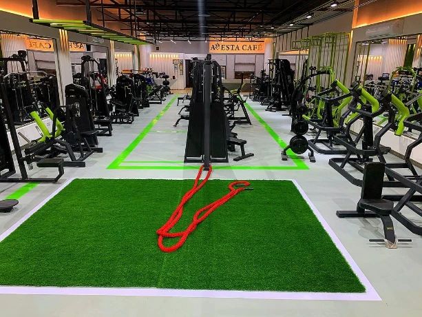 تصویر باشگاه اوستا (avesta gym)